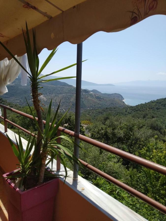 Villa Maria Luxury Apartments "Bunec-Piqeras"! Eksteriør billede