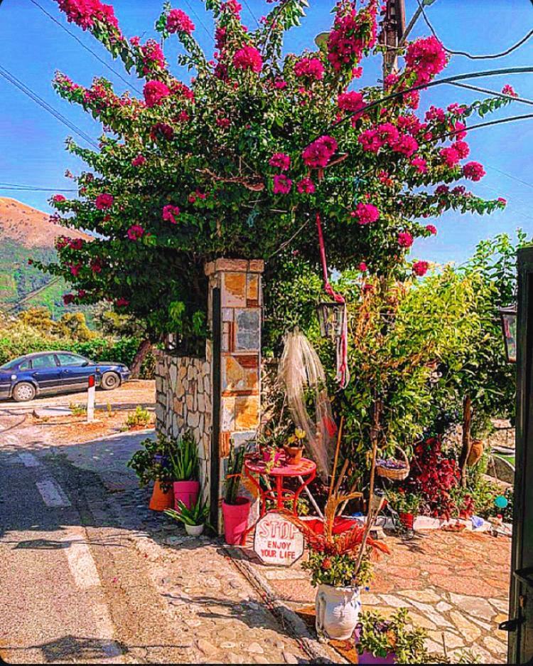 Villa Maria Luxury Apartments "Bunec-Piqeras"! Eksteriør billede